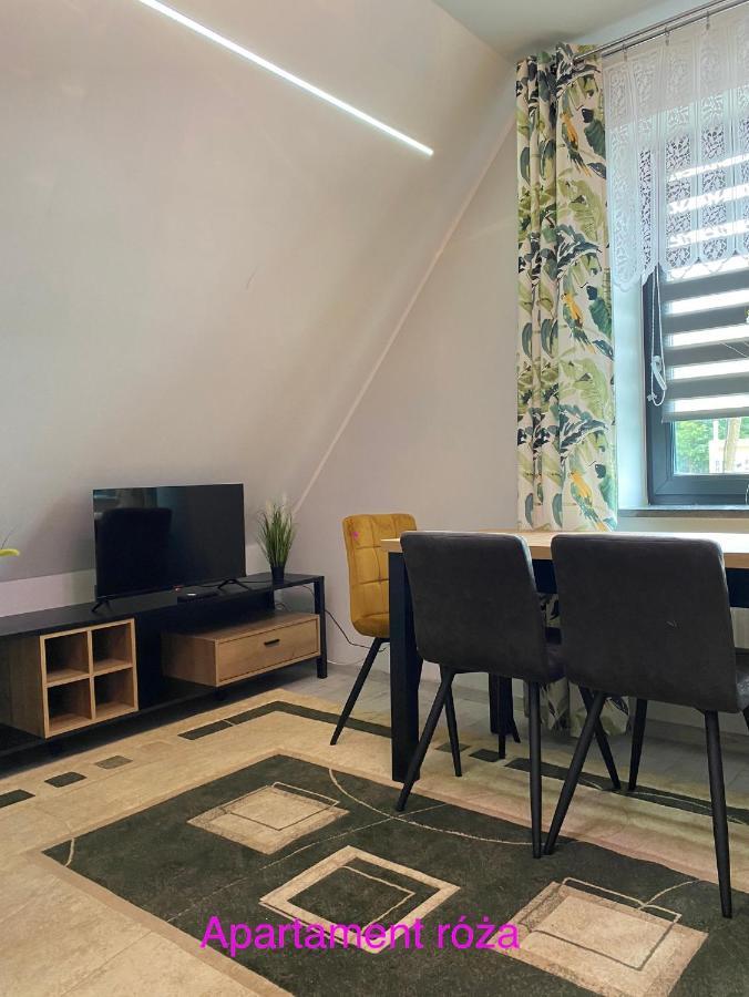 Apartament Roza Wierzchucino Buitenkant foto
